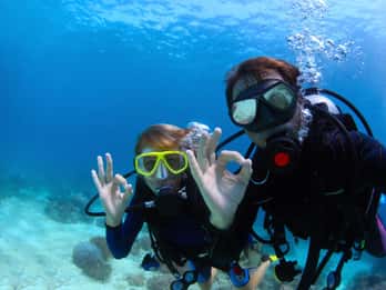 Bodrum : excursion d'une journée complète de plongée sous-marine