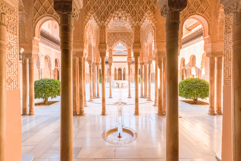 Granada: Alhambra och Albaicín SmågruppsturGuidad rundtur på spanska