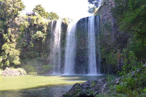 Vanuit Auckland: Dagvullende tour naar de Bay of Islands