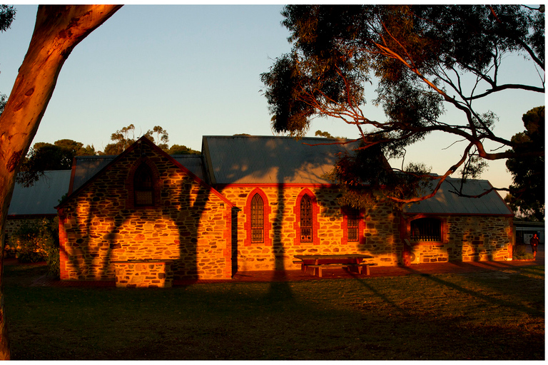 McLaren Vale North: Hop-On Hop-Off Tour City or Local Pickup Tour with Region Pickup 11:00am