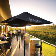 McLaren Vale North: Hop-On Hop-Off Tour