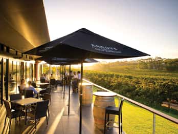 McLaren Vale North: Hop-On Hop-Off Tour City or Local Pickup
