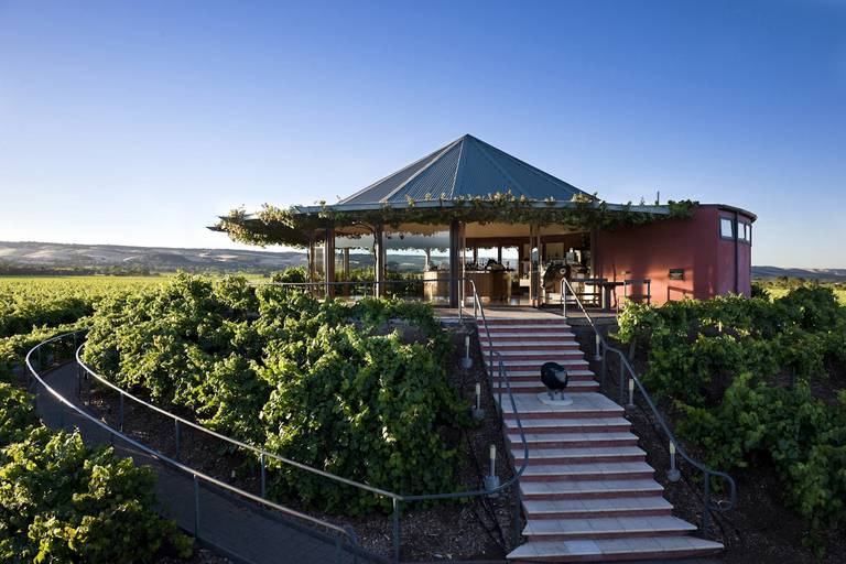 McLaren Vale North: Hop-On Hop-Off Tour City or Local Pickup Tour with Region Pickup 11:00am