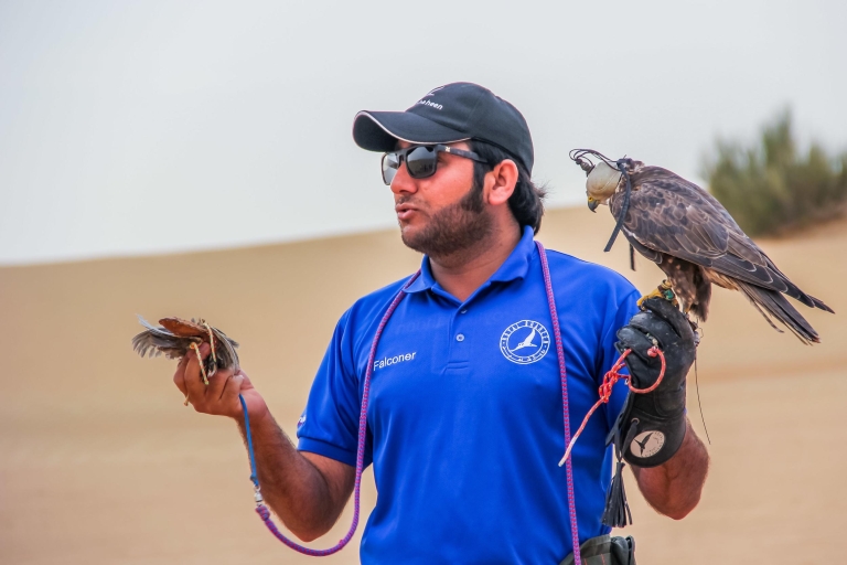 Desierto de Dubái: safari de medio día en 4x4 con barbacoaServicio de recogida privado desde Dubái, Ajman o Sharjah