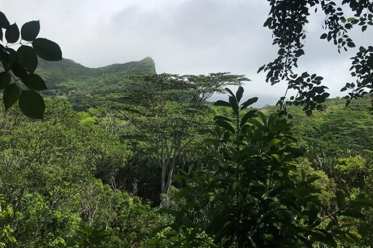 Mauritius: Prywatna wycieczka 1-dniowaMauritius: Wycieczka 1-dniowa po najpiękniejszych miejscach