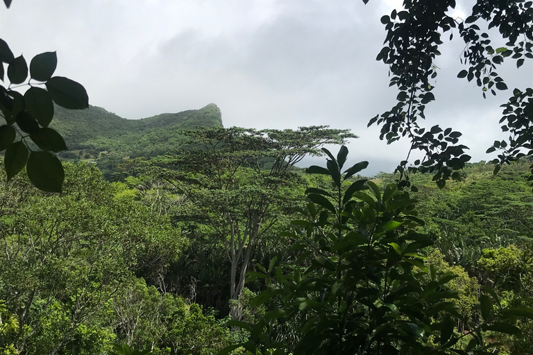 Mauritius: Prywatna wycieczka 1-dniowaMauritius: Wycieczka 1-dniowa po najpiękniejszych miejscach