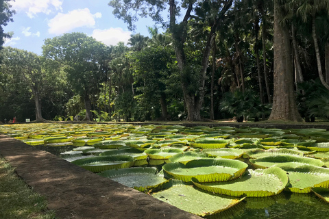 Mauritius: Private ganztägige Instagram-Tour