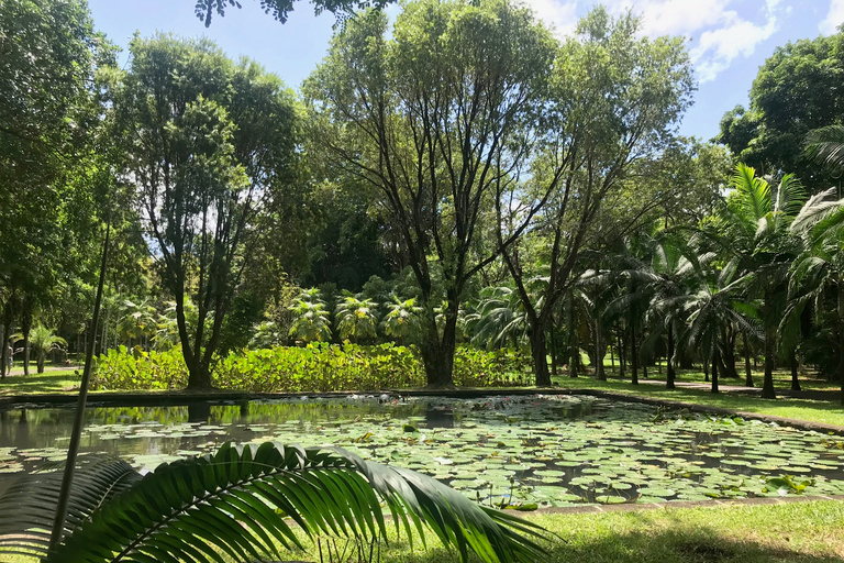 Mauritius: Private ganztägige Instagram-Tour