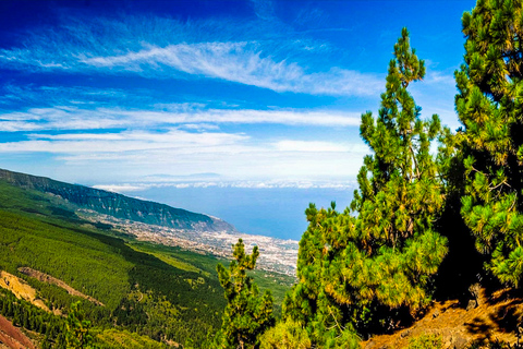 Tenerife: tour privato del Parco Nazionale del Teide e del Parco Rurale di TenoTour con trasferimento in hotel