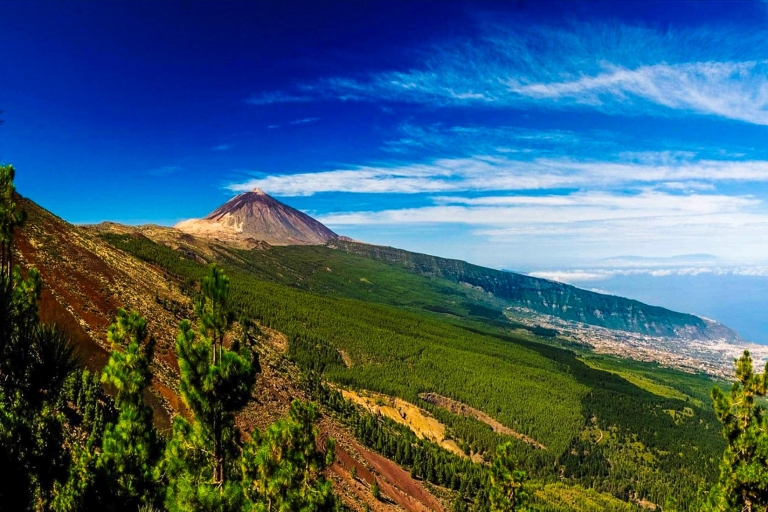 Tenerife: tour de 1 día al parque nacional del Teide y Teno