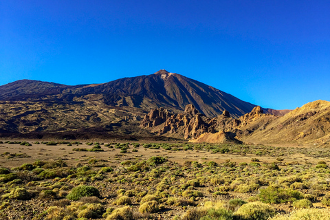 Ténérife: parc national du Teide et visite d'une journée de Teno