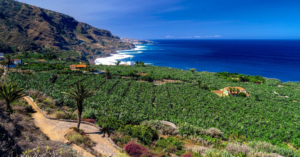 tenerife private tour