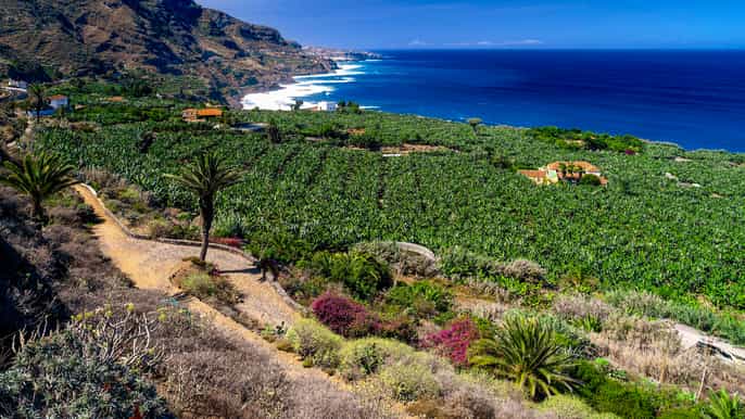 north tenerife fullday guided tour