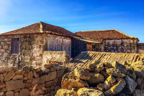 South Tenerife: Full-Day Volcano Tour