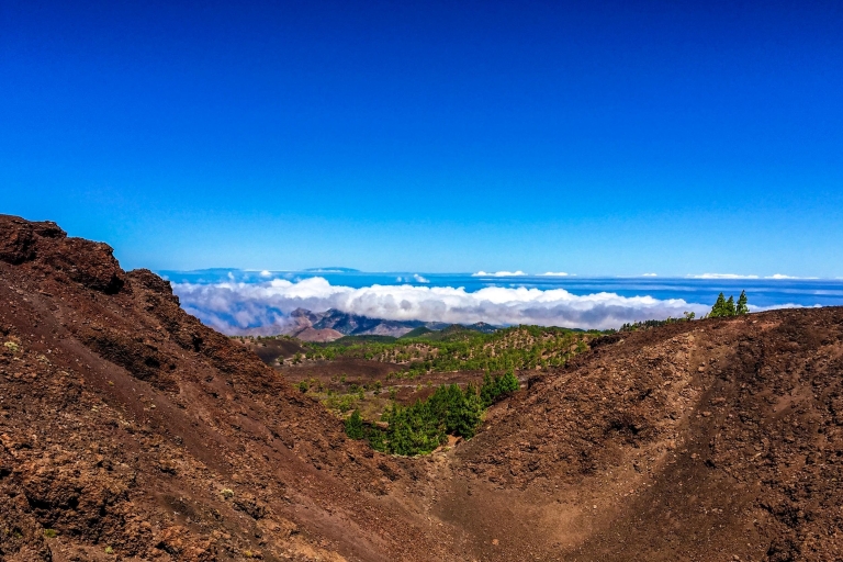 Tenerife Sur: de día completo Tour al Volcán