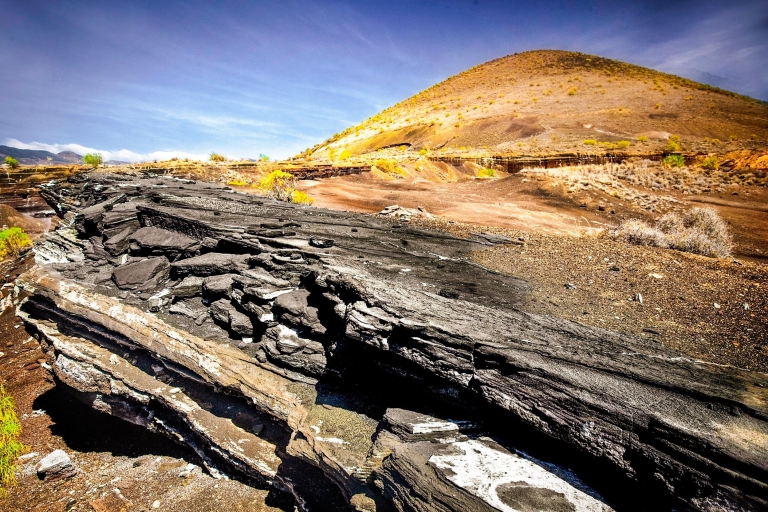 South Tenerife: Full-Day Volcano Tour