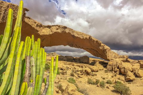 Tenerife Private Tour: Full-Day Volcanic South