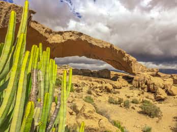 Tour privado de Tenerife: día completo por el sur volcánico