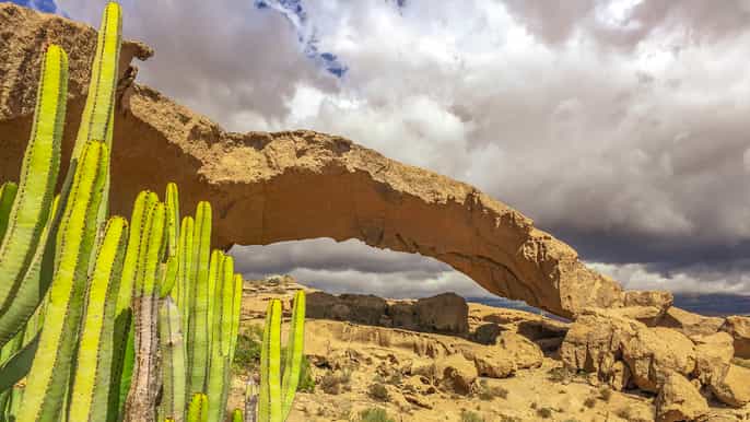 south tenerife fullday volcano tour