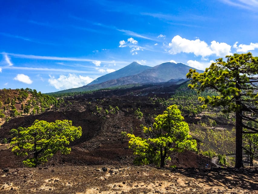 tenerife private tour