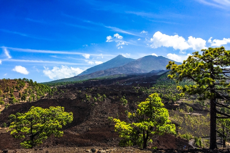 Zuid Tenerife: Full-Day Tour de Vulkaan