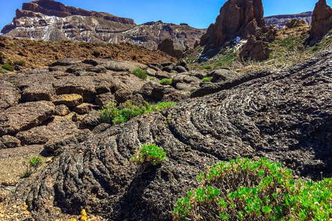 Tenerife Sur: de día completo Tour al Volcán