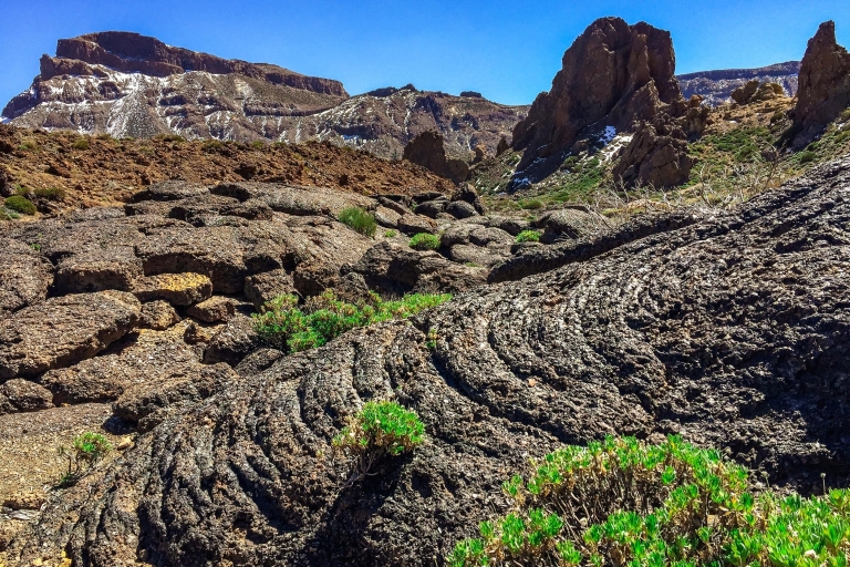 South Tenerife: Full-Day Volcano Tour