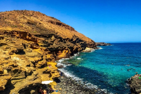 Tenerife Sur: de día completo Tour al Volcán