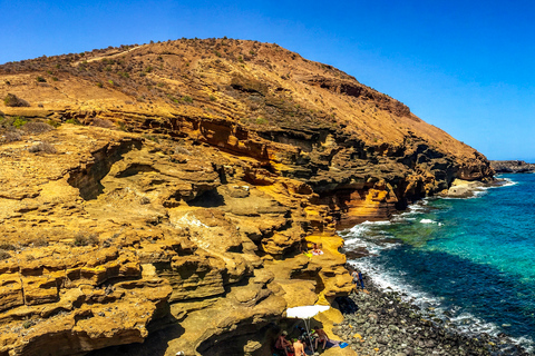 Zuid Tenerife: Full-Day Tour de Vulkaan