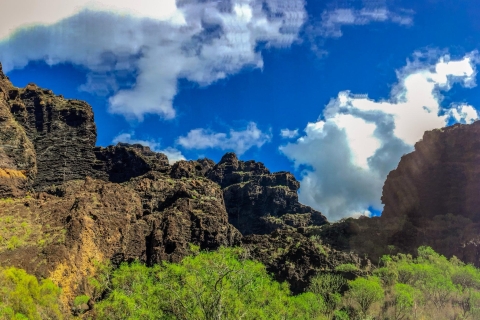 Teneriffa: Tagestour zum Teide-Nationalpark und zum Teno