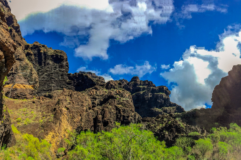 Teneriffa: Privat tur till nationalparkerna Teide och TenoRundtur med hotellupphämtning