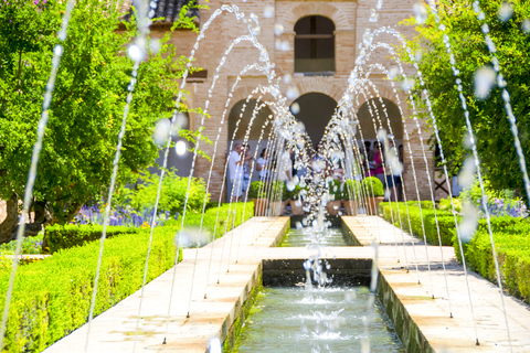 Granada: Alhambra and Nasrid Palaces Private Tour