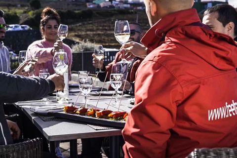 Tenerife: excursión a la costa y al vino del TeideTour privado