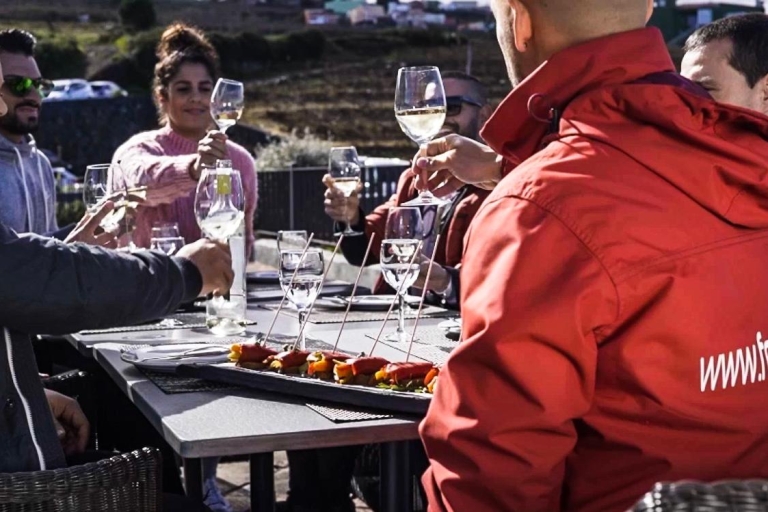 Teneriffa: Natur und Wein - Landausflug zum TeidePrivattour