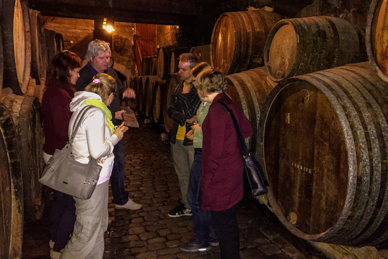 Tenerife: excursión a la costa y al vino del TeideTour privado