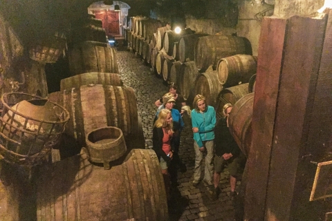 Teneryfa: Przyroda Teide i degustacja winaWycieczka prywatna
