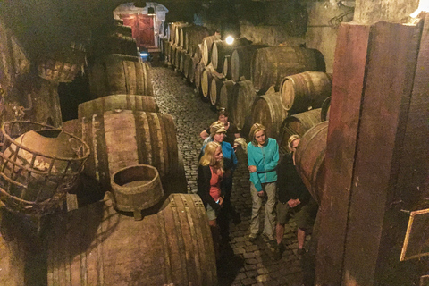 Tenerife: excursión a la costa y al vino del TeideTour privado