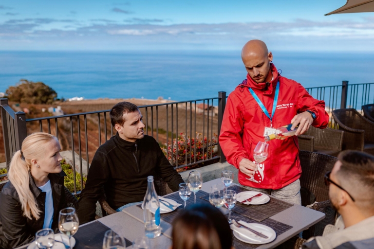 Tenerife: excursión a la costa y al vino del TeideTour privado