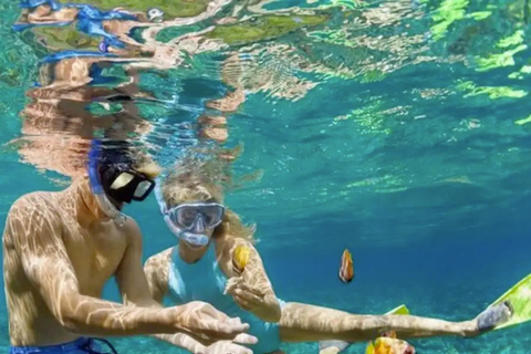 Cartagena: Rosario Oceanarium, Snorkel & Swim with Dolphins Cartagena: Rosario Islands Tour with Oceanarium & Snorkeling