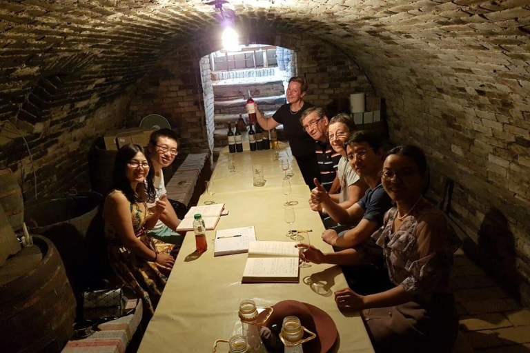 Belgrade: visite de Novi Sad et Sremski Karlovci avec dégustation de vinsVisite privée