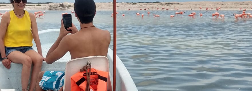 Sortie en bateau privée à Ría Lagartos : flamants roses et crocodiles