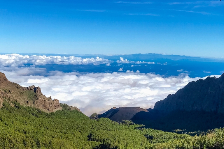 Tenerife Tour Privado: Teide y Sabores del NorteExcursión Privada por la Costa de Tenerife: Teide y Sabores del Norte