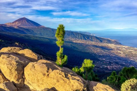 Частный тур по Тенерифе: Тейде и ароматы севера