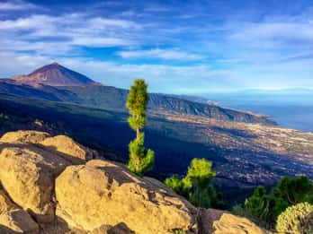 Teneriffa: El Teide & Aromen des Nordens - Landgang Teneriffa: El Teide & Aromen des Nordens - Landgang