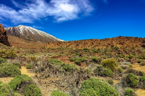 Privétour Tenerife: Teide en smaken van het noorden