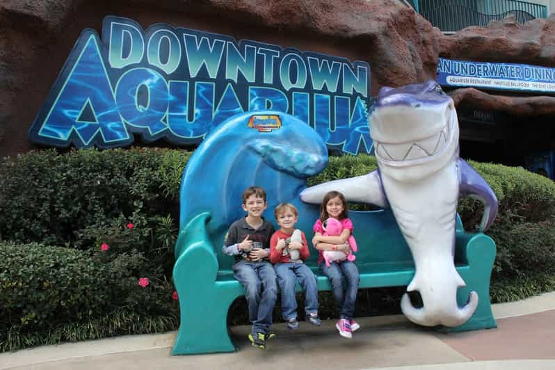 Houston Tour And Aquarium Ticket | GetYourGuide