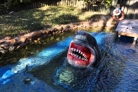 Tour por Houston y entrada al Acuario