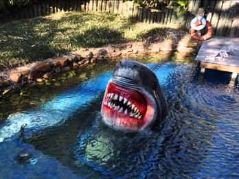 Houston: Tour und Aquarium-Ticket Houston: Tour und Aquarium-Ticket