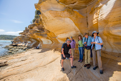 Hobart: Maria Island National Park Active Full-Day Tour From Hobart: Maria Island National Park Active Full-Day Tour