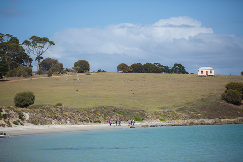 Hobart: Maria Island National Park Active Full-Day Tour From Hobart: Maria Island National Park Active Full-Day Tour